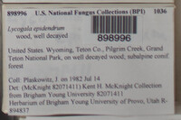 Image Associated With the Occurence